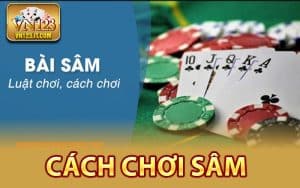 Cách Chơi Sâm