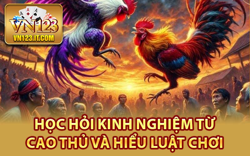 Đá Gà Vn123